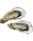 Holle oesters van Marennes d'Oléron
