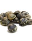 Vongole (palourdes) 500g