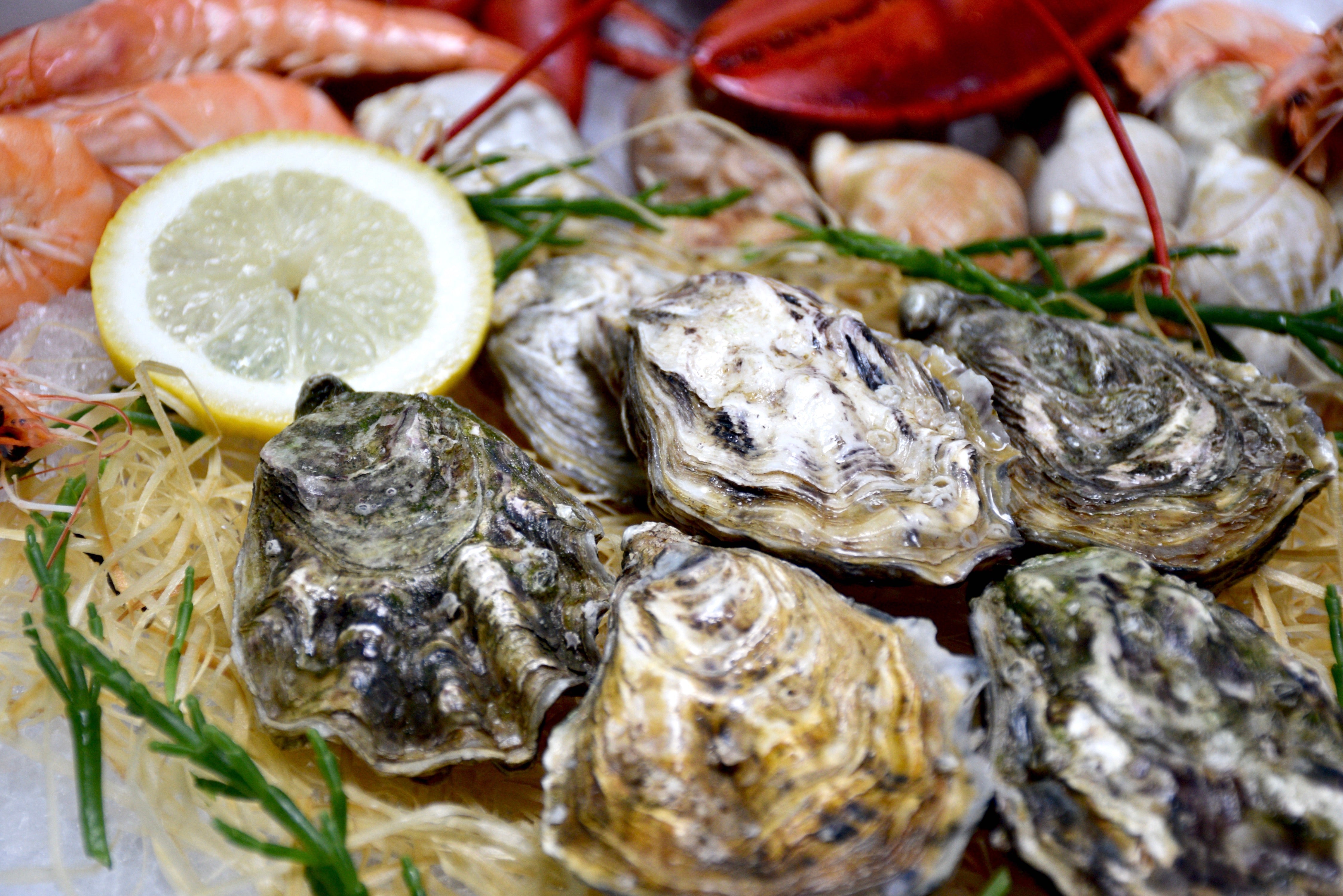 Fruits de mer et crustacés