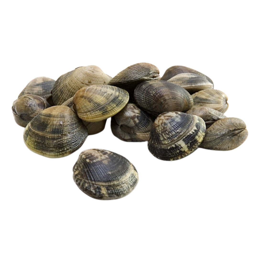 Vongole (clams) 500g