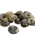 Vongole (mosselen) 500 g