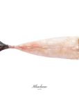Lotte 200g - Poissonnerie Khachane Bruxelles