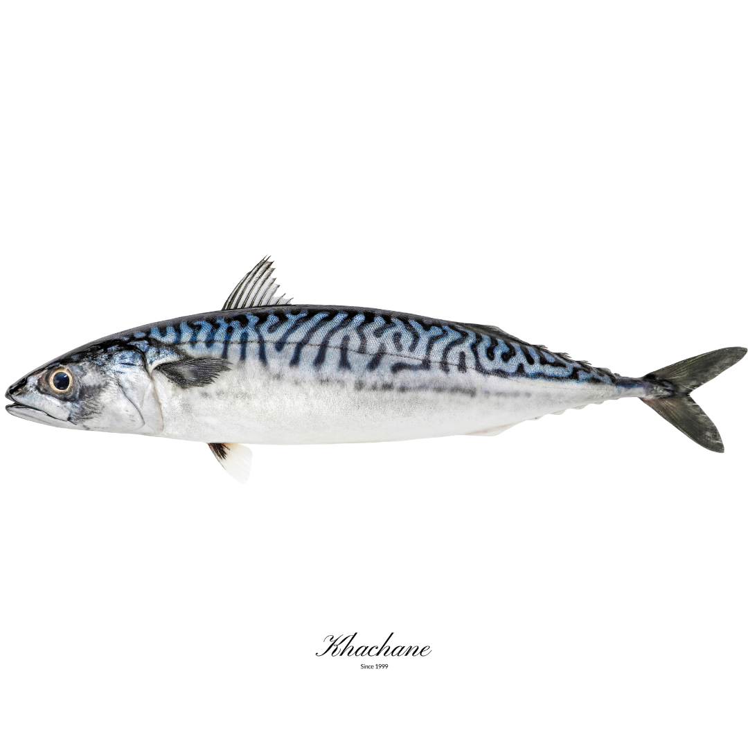 Fresh mackerel 400g